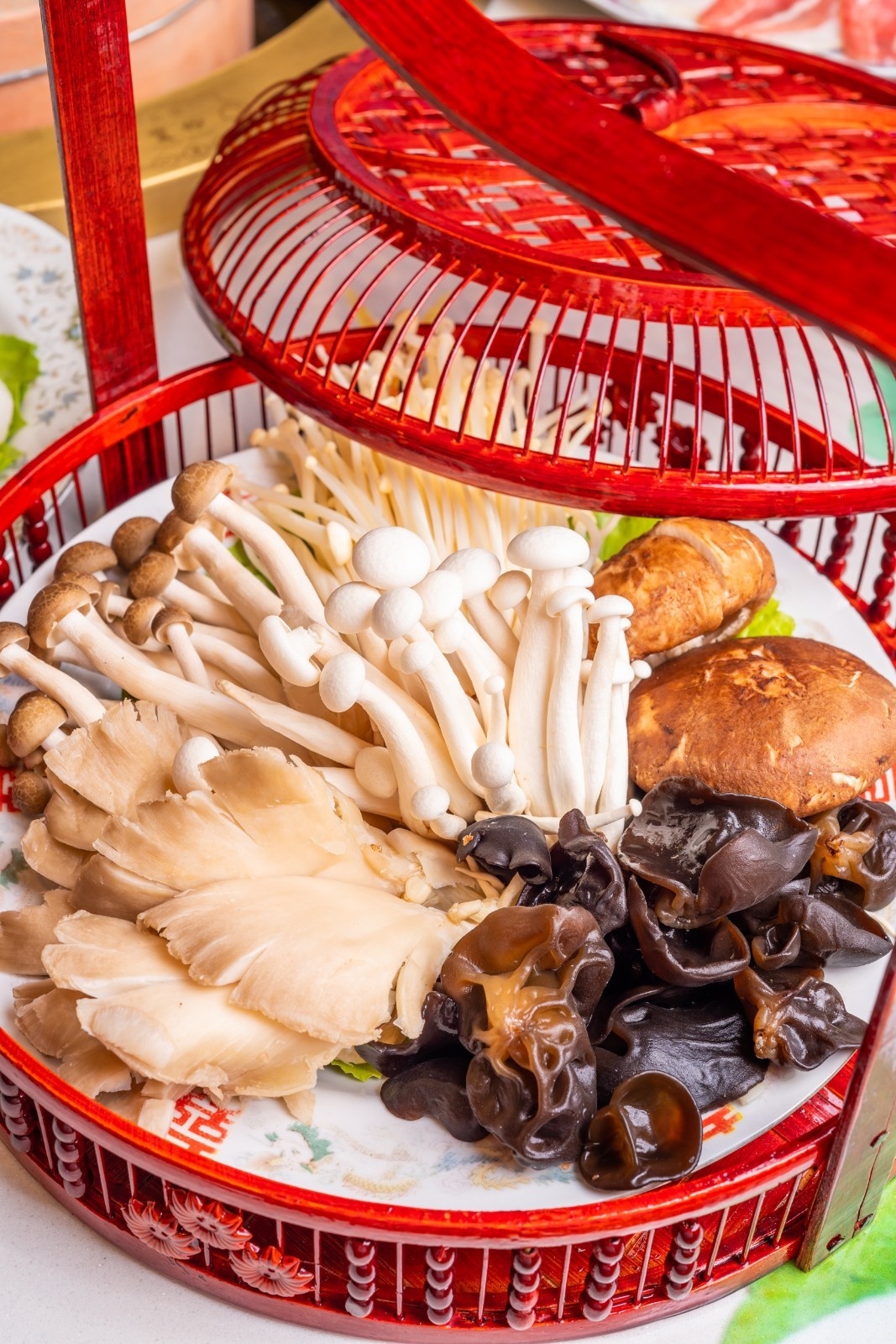 DSC05523.jpg DSC05523.jpg